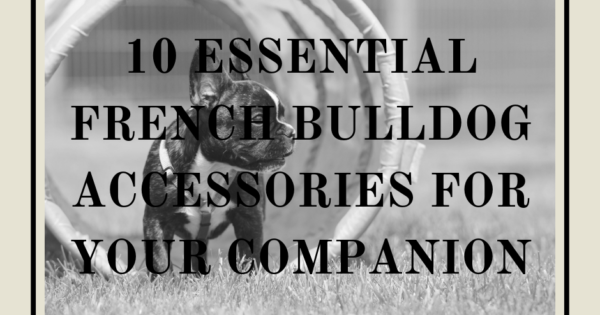 10 Essential French Bulldog Accessories for Your Companion | FrenchBulldogHarnes.com