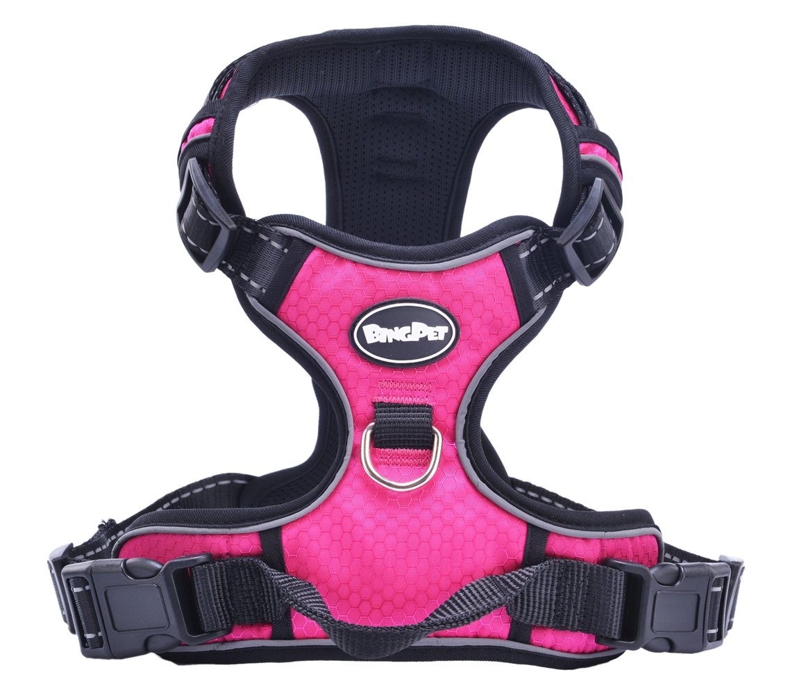 Expawlorer Front Range Dog Harness Review | FrenchBulldogHarnes.com