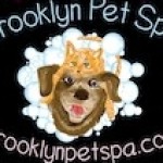 Brooklyn Pet Spa Profile Picture