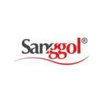 Sanggol Comfort Profile Picture