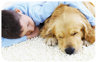 Are my carpets making me sick? - Eagle Springs Carpet Cleaning