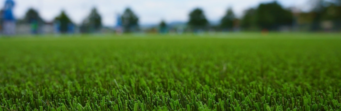 Artificial Grass Brisbane Cover Image