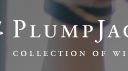 Understanding 13th Vineyard Wine Properties | by PlumpJack Collection | Nov, 2024 | Medium