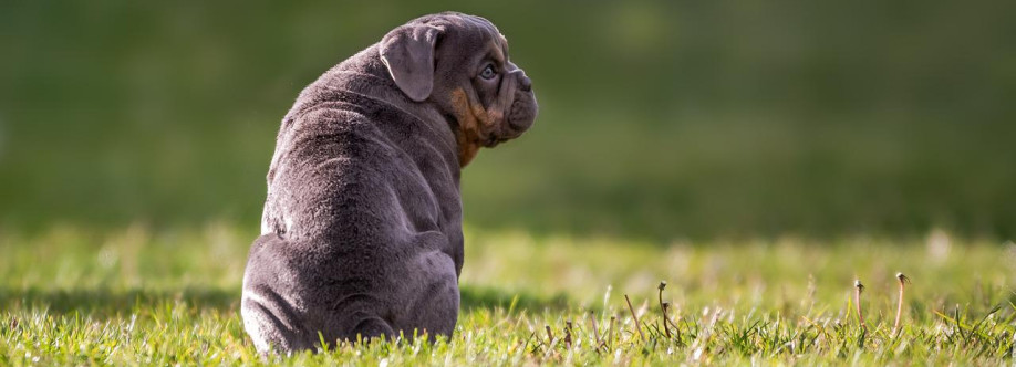 ArticleTon Cover Image