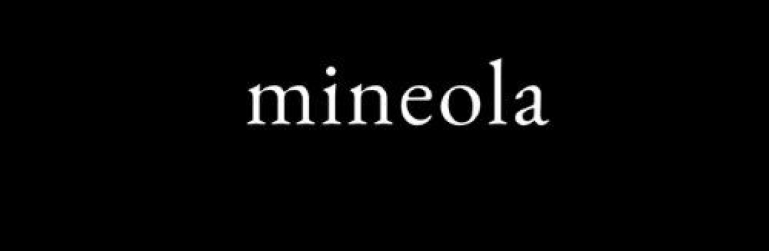 mineola Real Estate LLC Cover Image